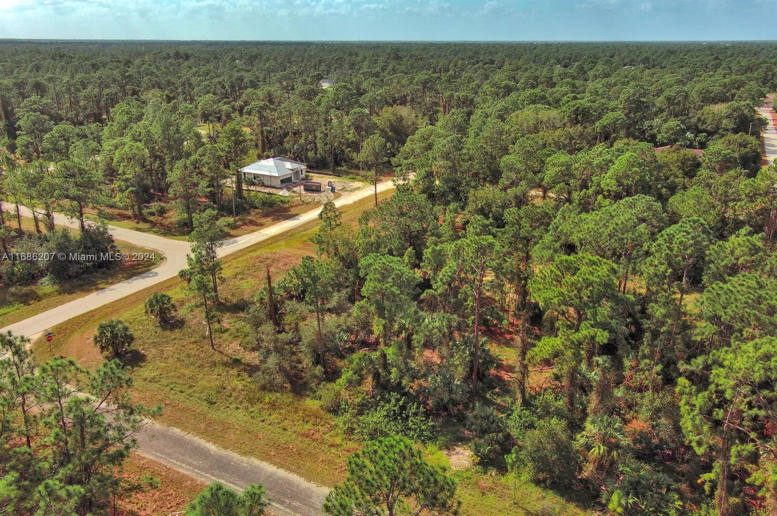 LEHIGH ACRES - Land