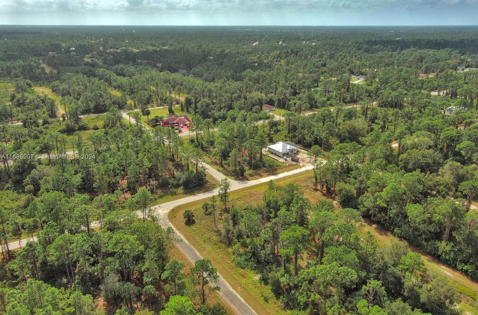 LEHIGH ACRES - Land