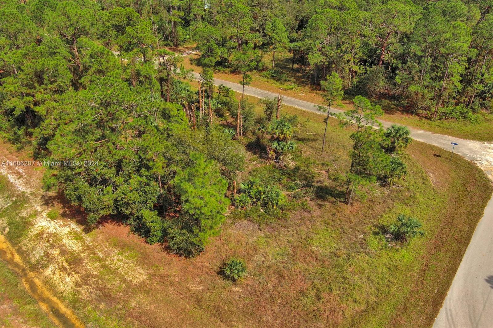 LEHIGH ACRES - Land