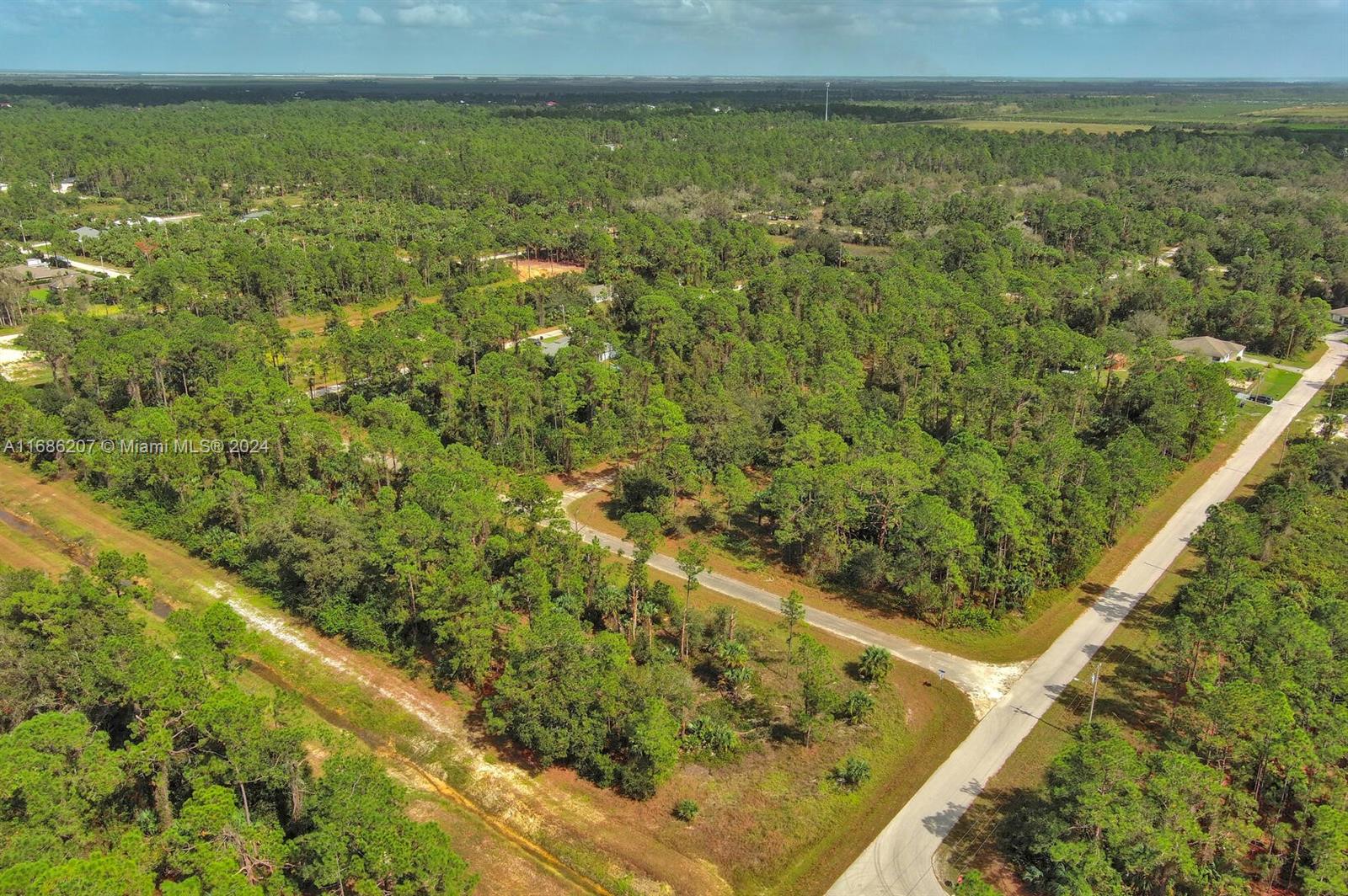 LEHIGH ACRES - Land