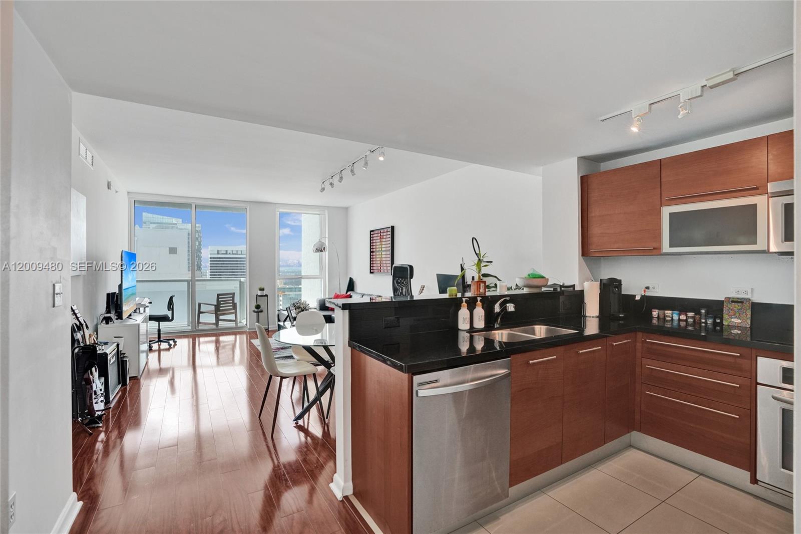VIZCAYNE SOUTH CONDO - Residential