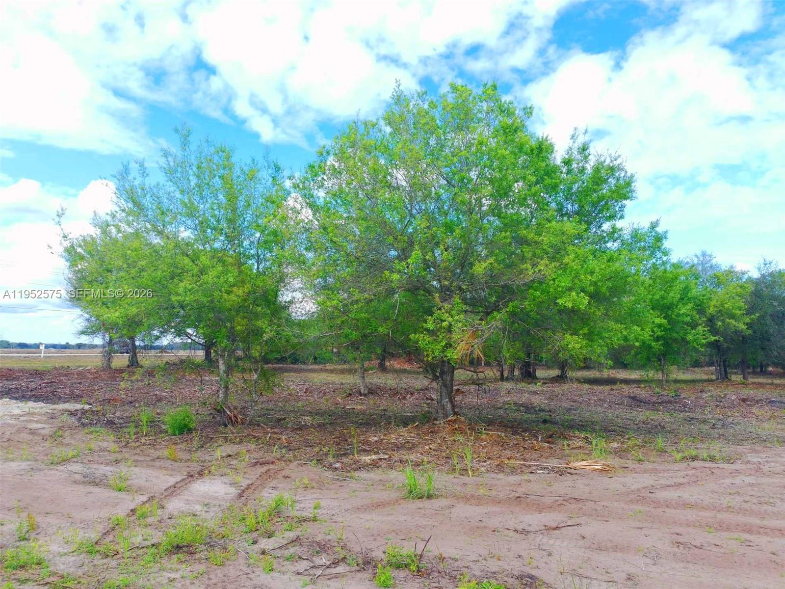 Montura Ranch - Land