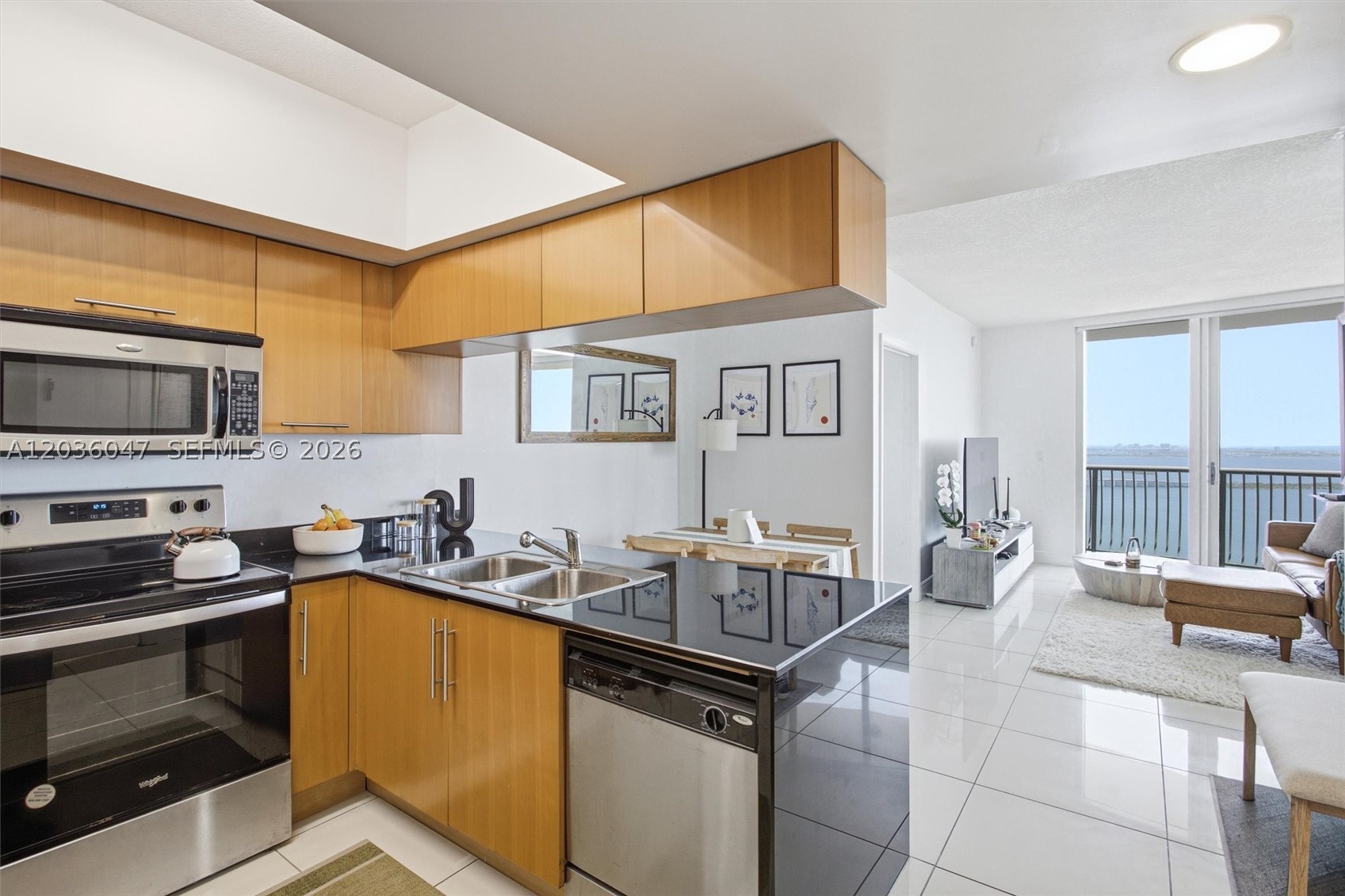 OPERA TOWER CONDO - Residential Lease