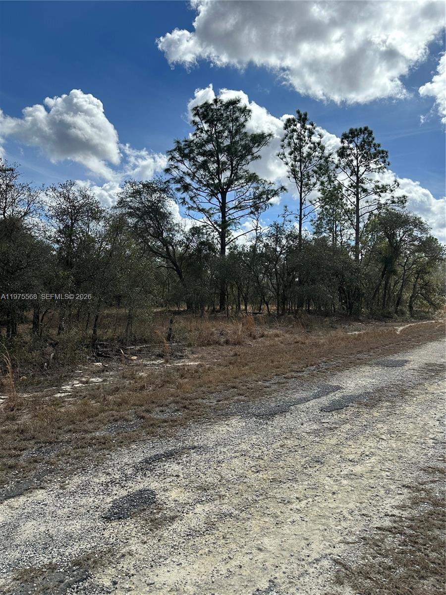 Nice lot in Rainbow Park Subdivision. A 0.23 acre vacant land to build your home. Just off West Hwy 40, near World Equestrian Center (WEC), Rainbow River Estate Park and easy access to all the main arteries of Marion County. A fast growing zone.