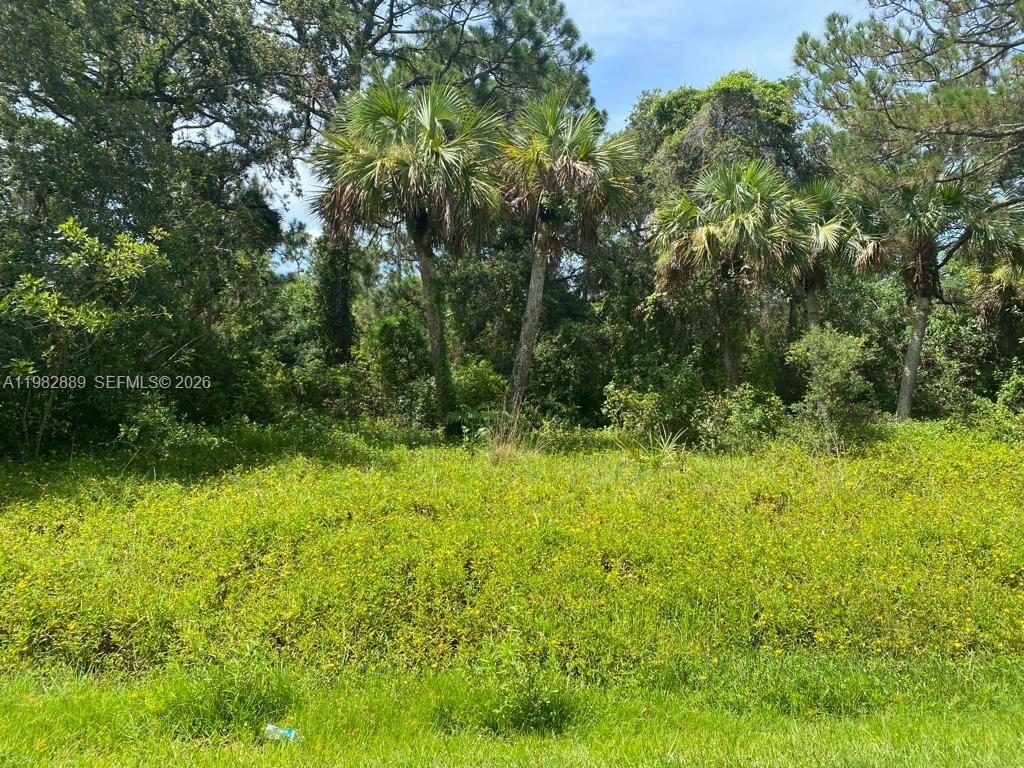 LAKEWOOD PARK UNIT 6 - Land