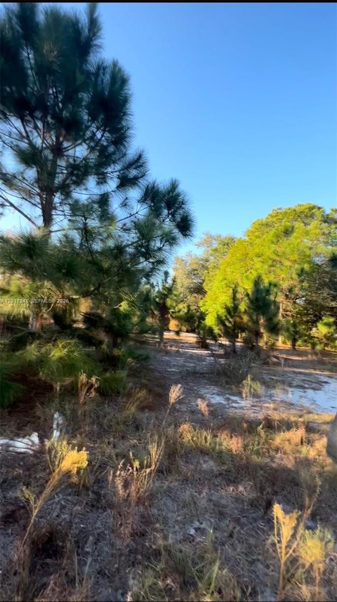 MONTURA RANCH ESTATES 1 ST - Land