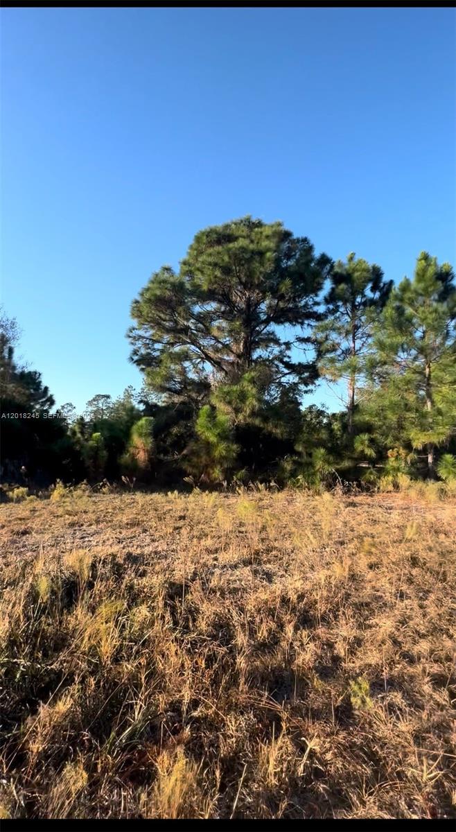 MONTURA RANCH ESTATES 1 ST - Land