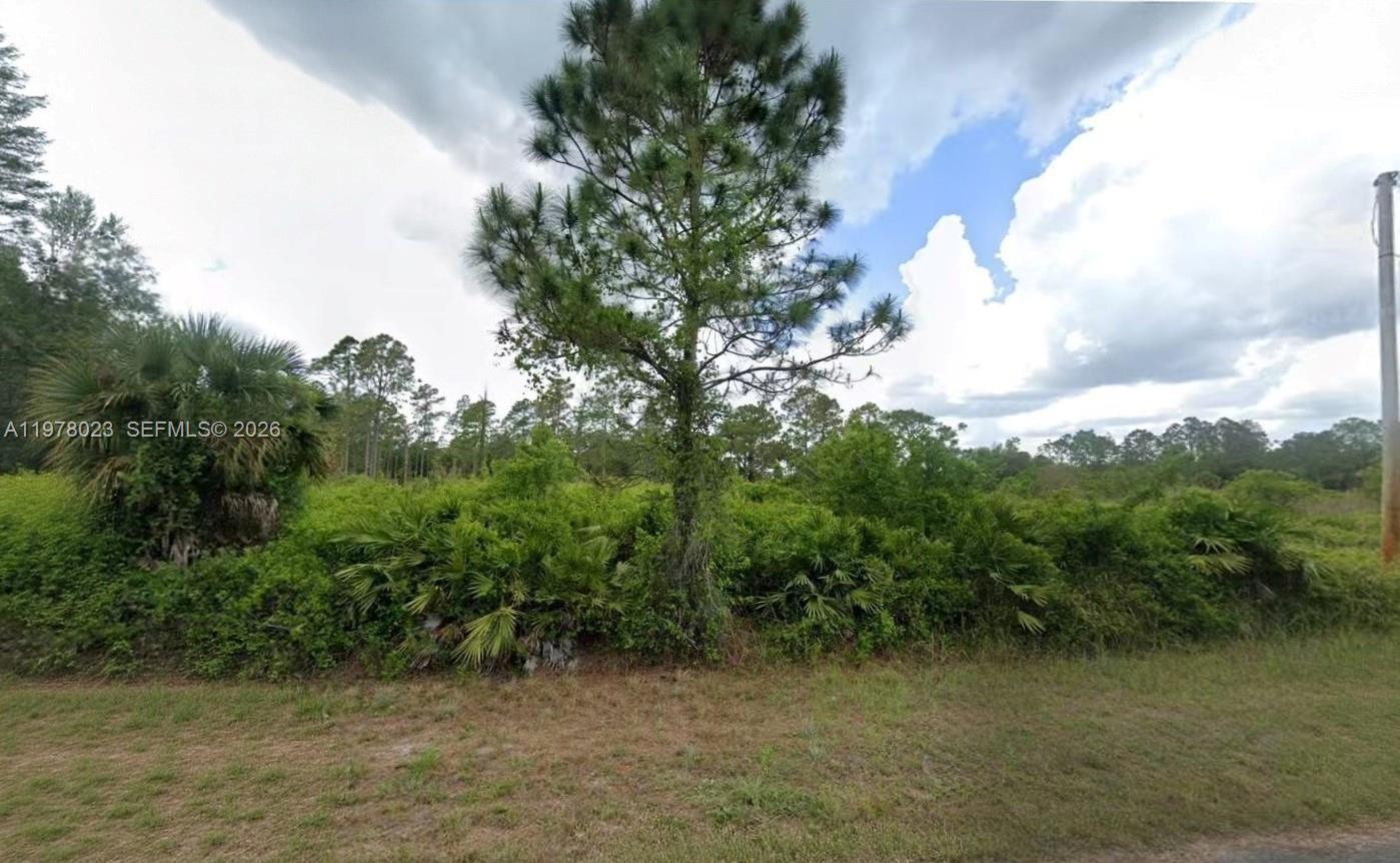LEHIGH ACRES - Land