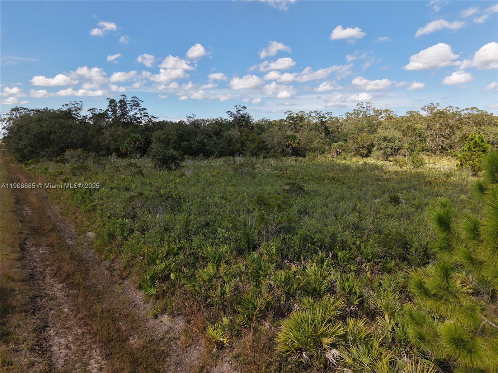 OKEECHOBEE - Land
