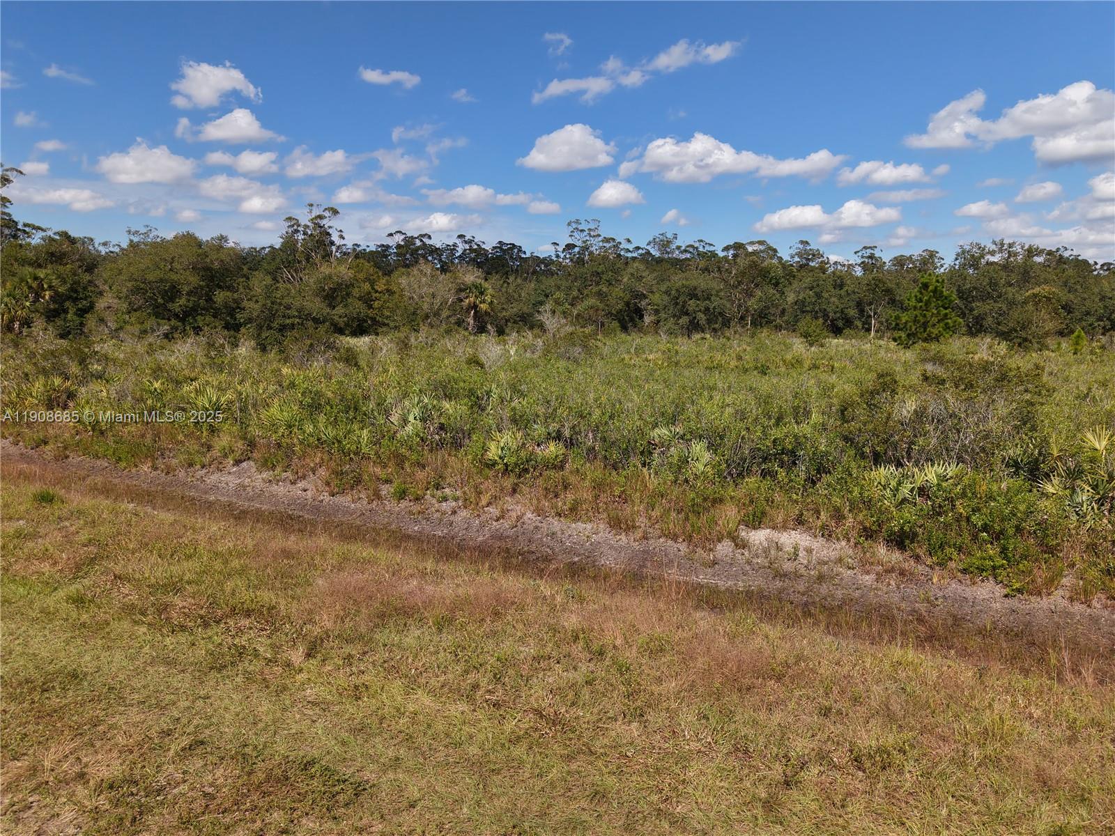 OKEECHOBEE - Land