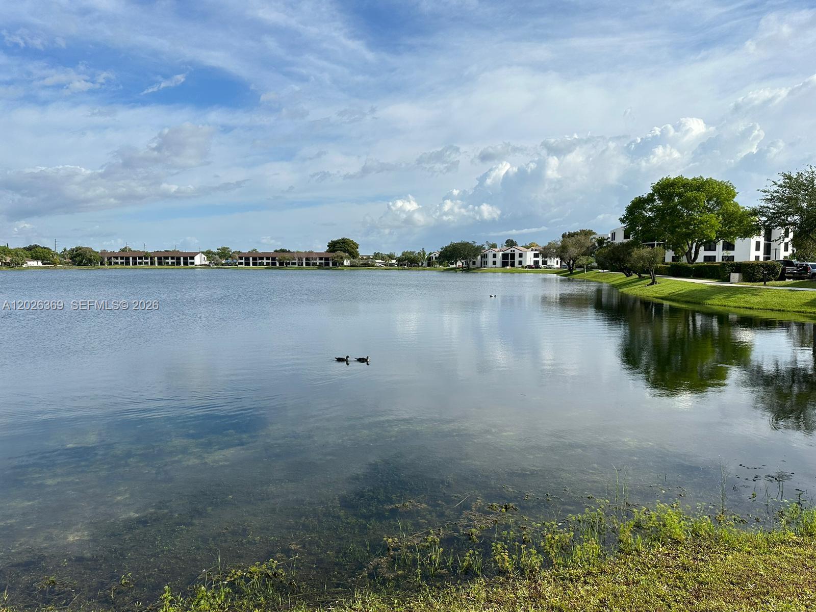LAKE POINTE CONDOMINIUM N - Residential