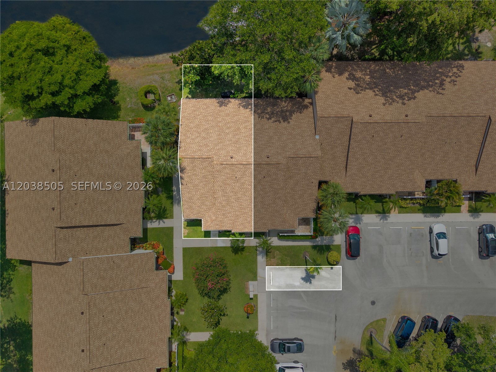 Ginger Tree - Residential
