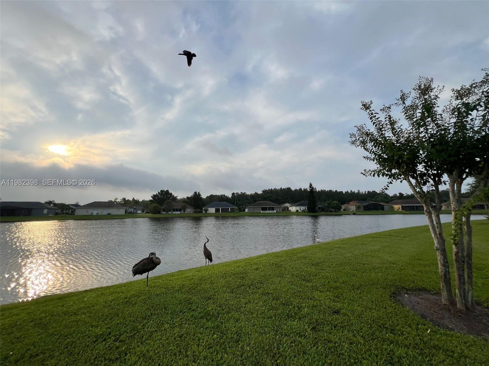 Springlake Village Phase 3 - Residential
