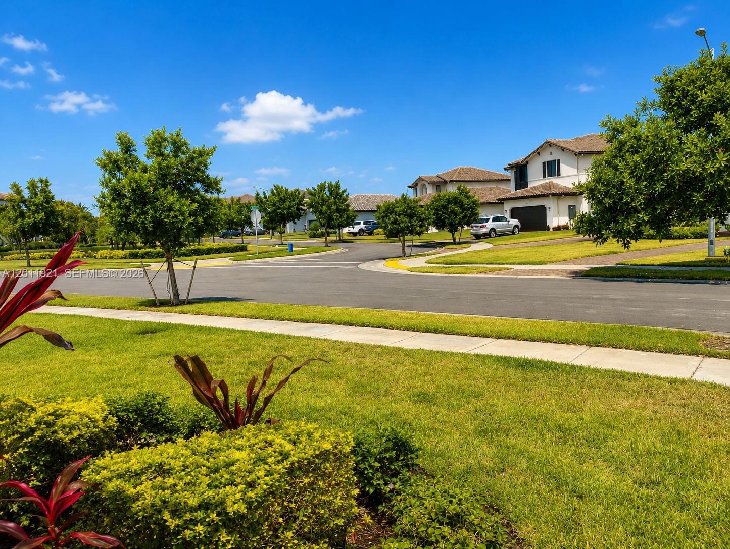 MAPLE RIDGE AT AVE MARIA - Residential