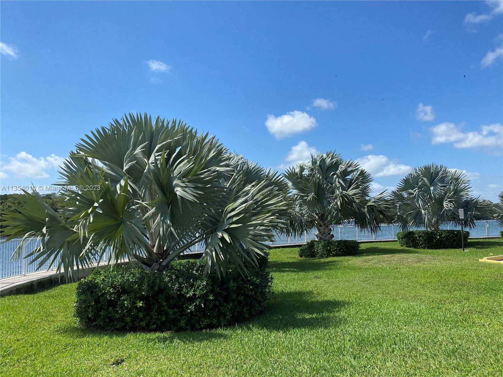 COASTAL TOWERS CONDO - Residential Lease