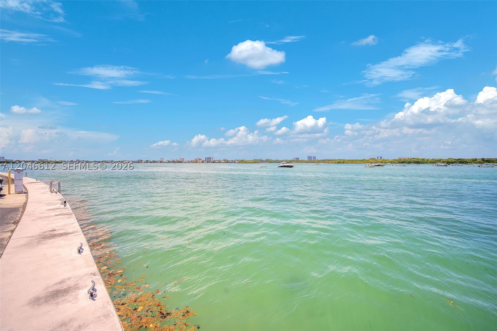 ISLAND POINTE CONDOMINIUM - Residential