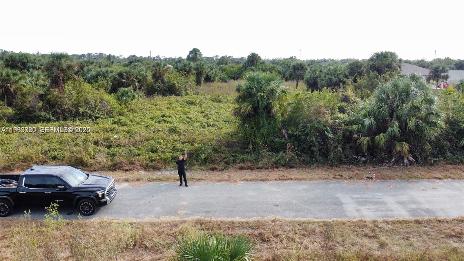 Lehigh Acres - Land