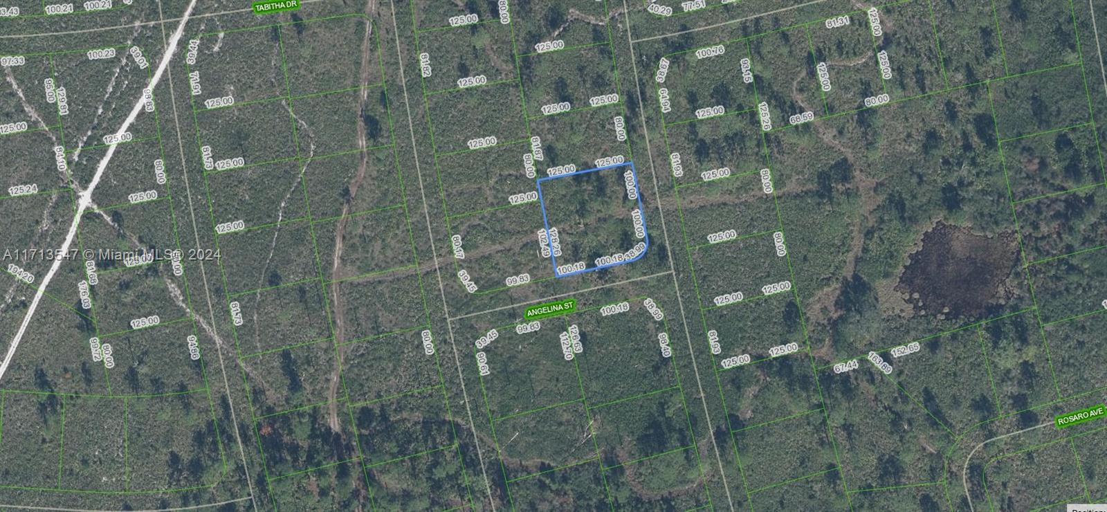 OWNER WILL FINANCE!!! Spacious lot size measuring 125 x 128 sq ft. Sun N Lakes development is building 100 acre water and sewage facility 1 block away! Sun N Lakes community, a perfect place to build your dream home in which to raise your kids or retire. The Sun N Lakes community offers 2 18-Hole championship golf courses, restaurant, clubhouse, gym, playground, community pool, splash pad, community center, fitness center, pickle ball, and tennis. Sebring is centrally located 1.5 hours from Disney, 1.5 hours from Tampa and 1.45 hours from Ana Maria Island Beaches. Located close to Advent health and Sun N Lake Elementary. Lots are going quickly! Come check it out today! OWNER WILL FINANCE!!! 2K DOWN $339.56 A MONTH FOR 36 MONTHS AT 7% INTEREST.