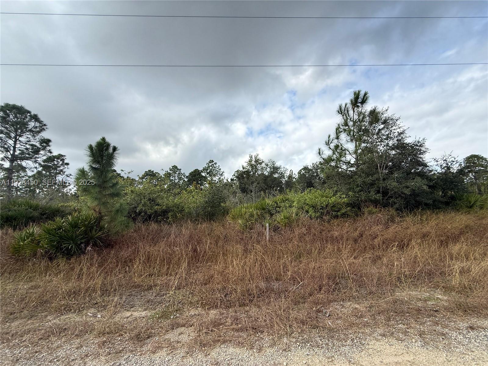 Lehigh Acres - Land