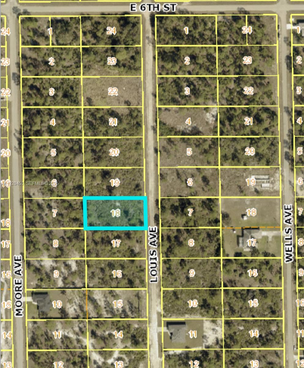 Lehigh Acres - Land