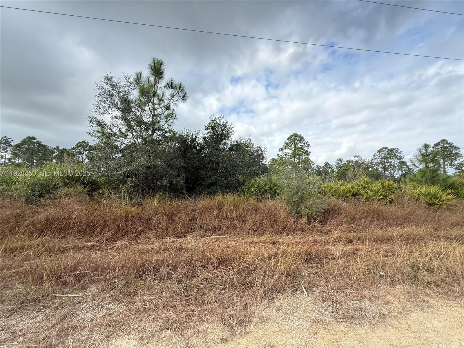Lehigh Acres - Land