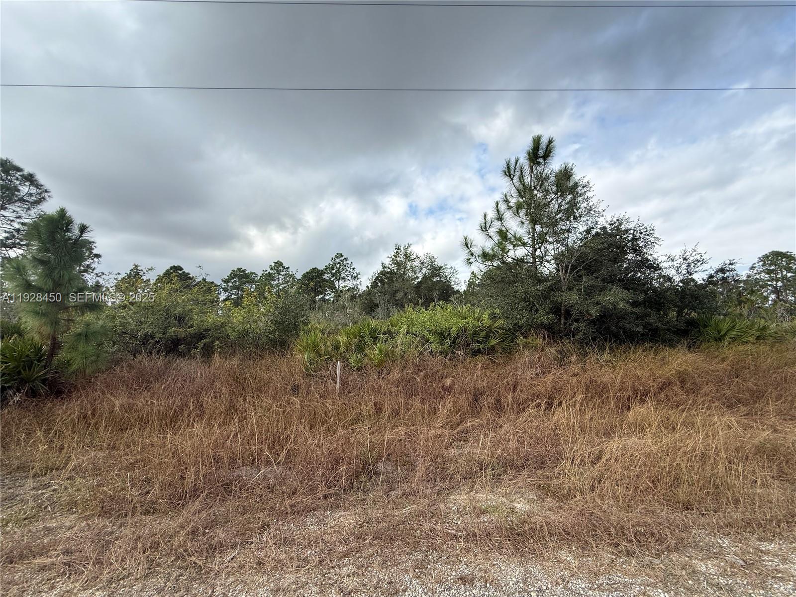 Lehigh Acres - Land