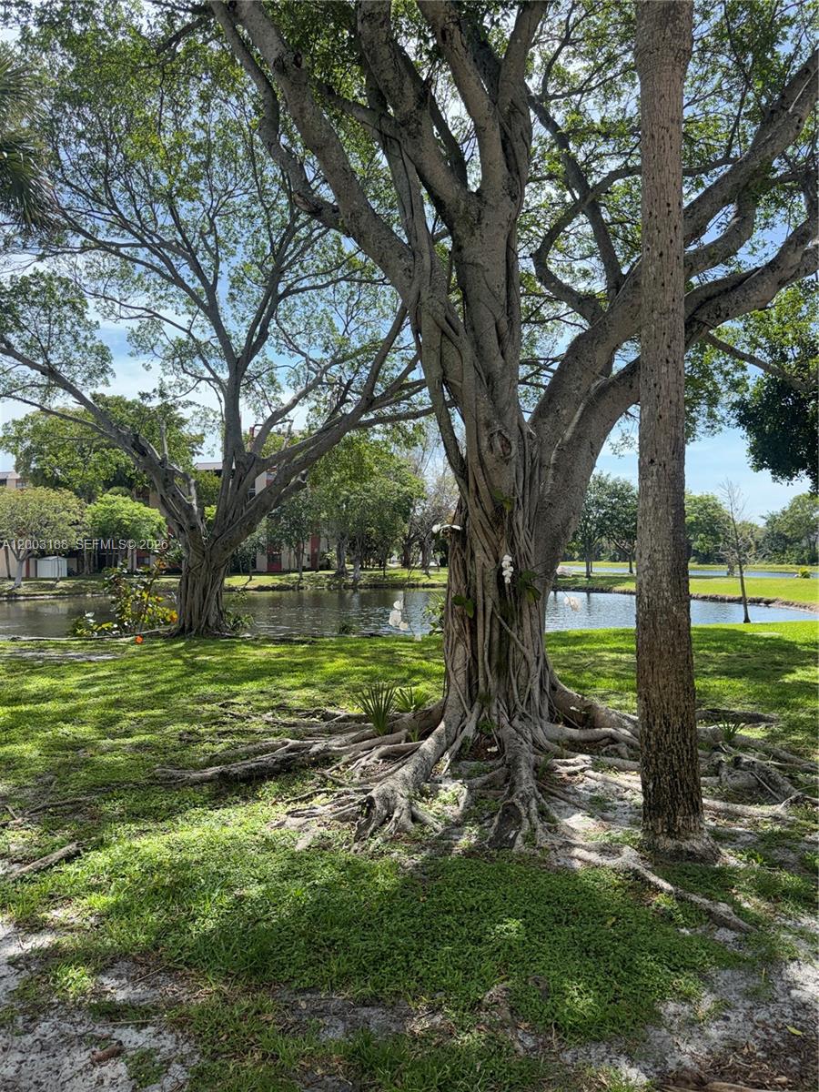 CYPRESS BEND I-B AND I-C - Residential