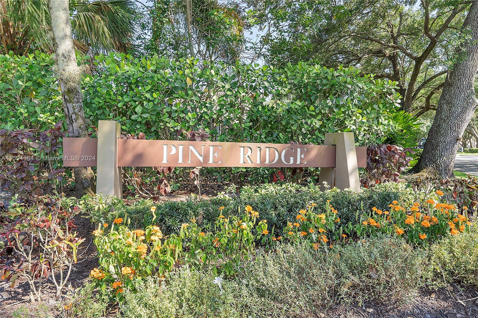 PINE RIDGE - Residential