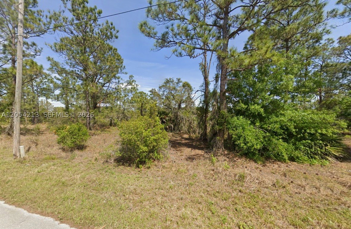 PLACID LAKES SEC 11 - Land