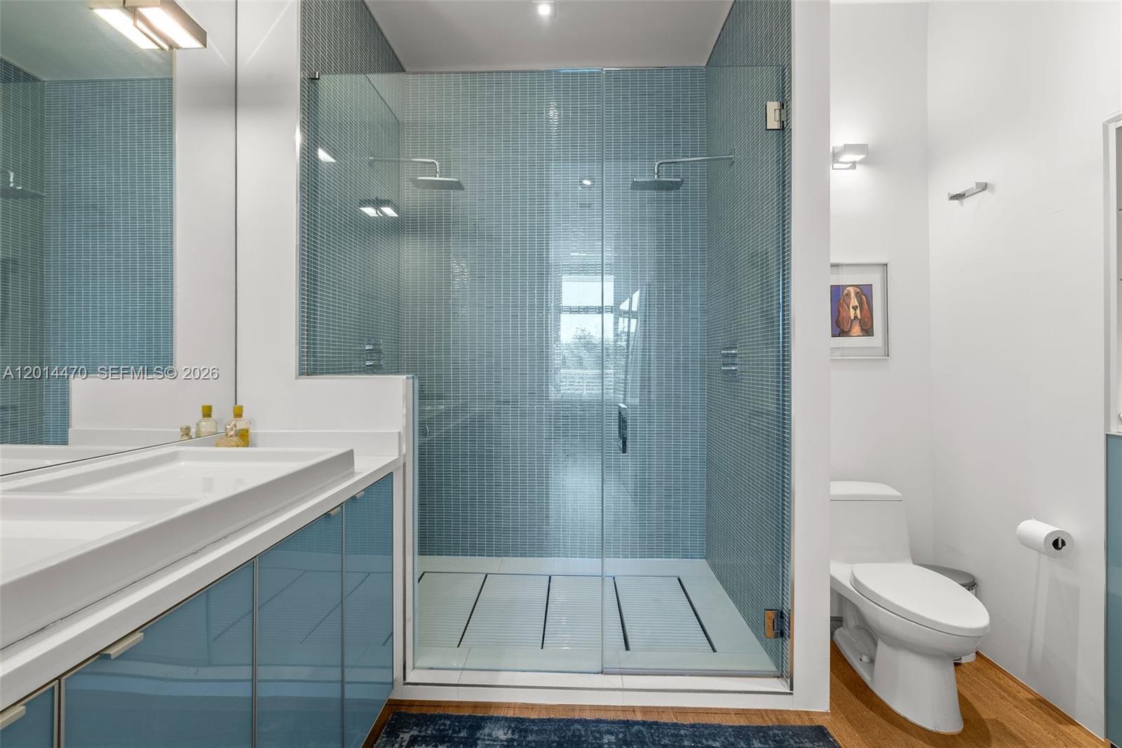 THE MERIDIAN CONDO - Residential
