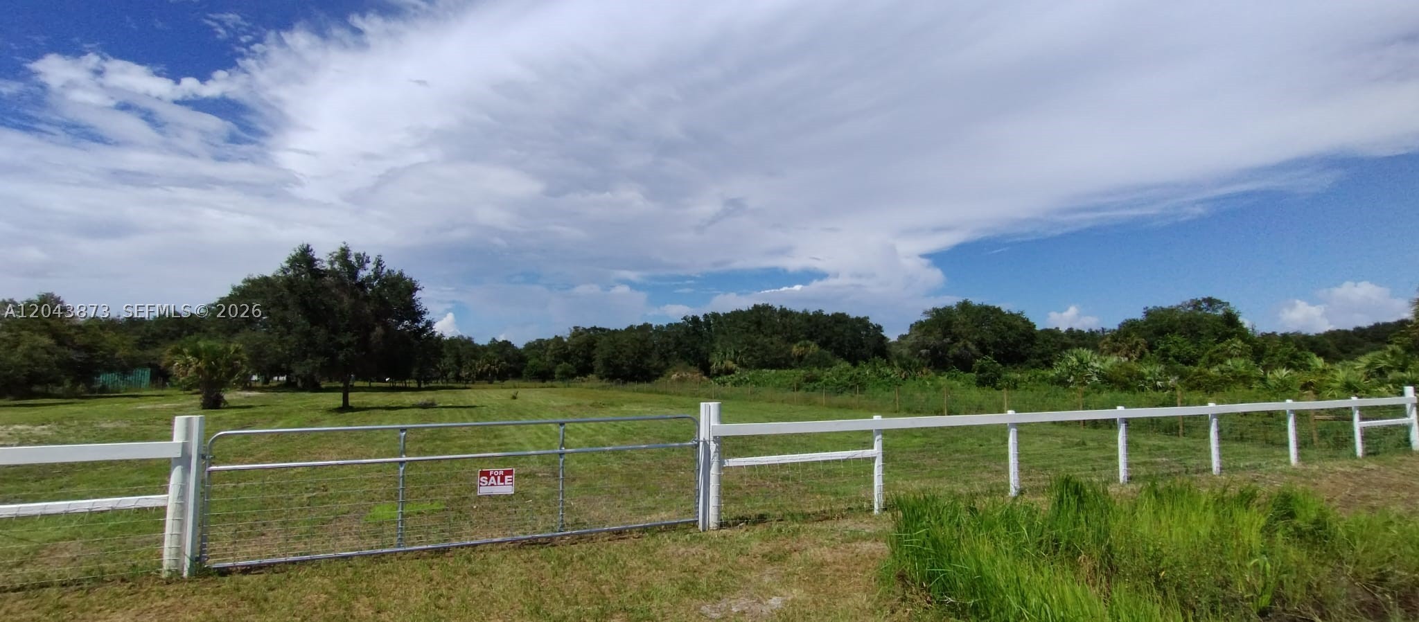 viking prairie - Land