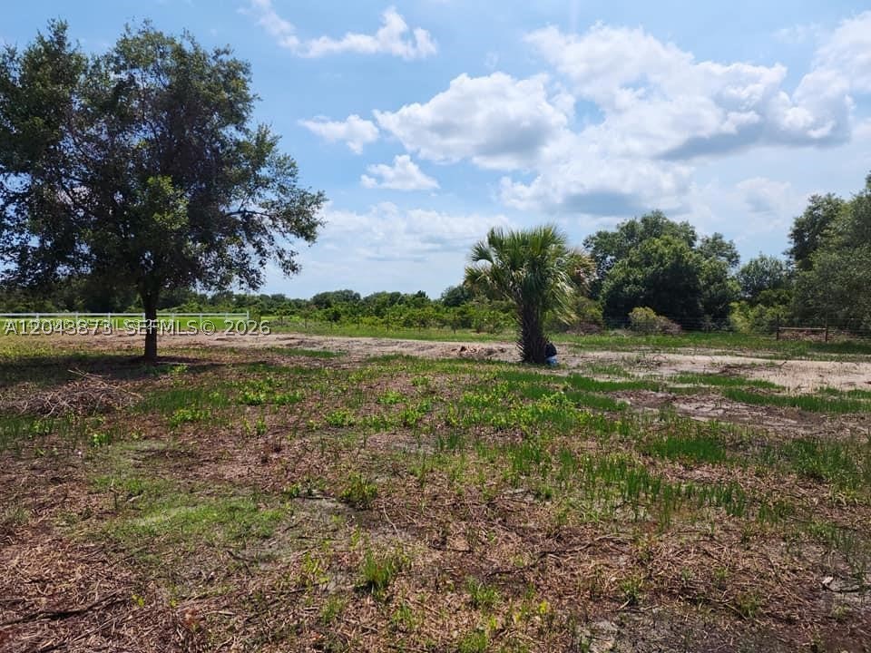 viking prairie - Land