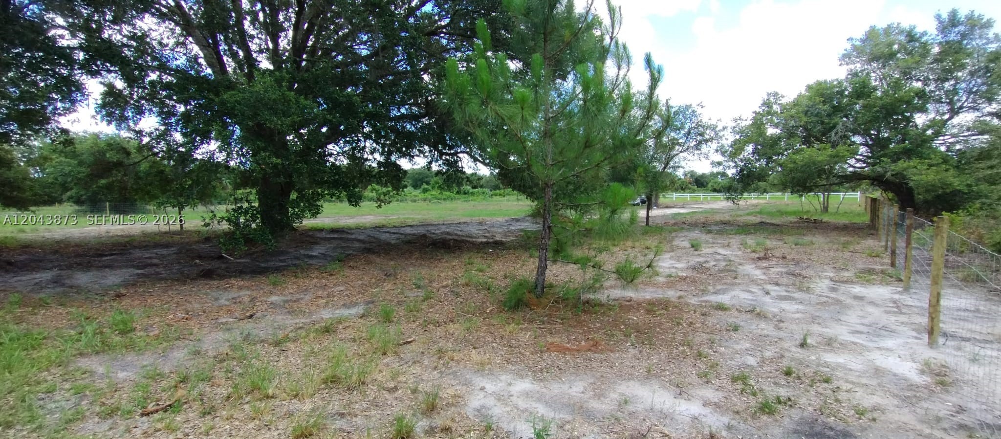 viking prairie - Land
