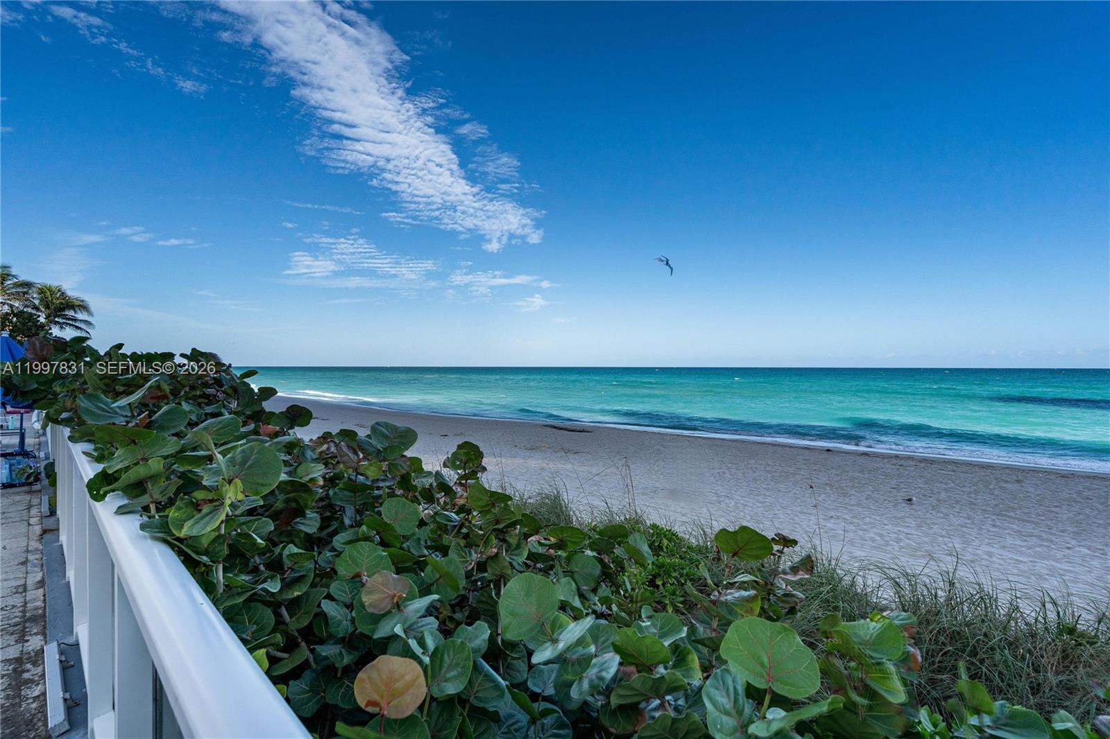 THE AVENTURA BEACH CLUB C - Residential