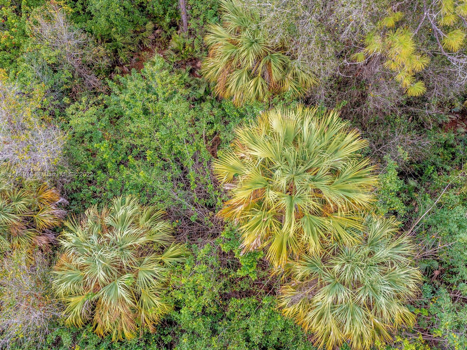 Pioneer Plant Unrec Sec 22 - Land