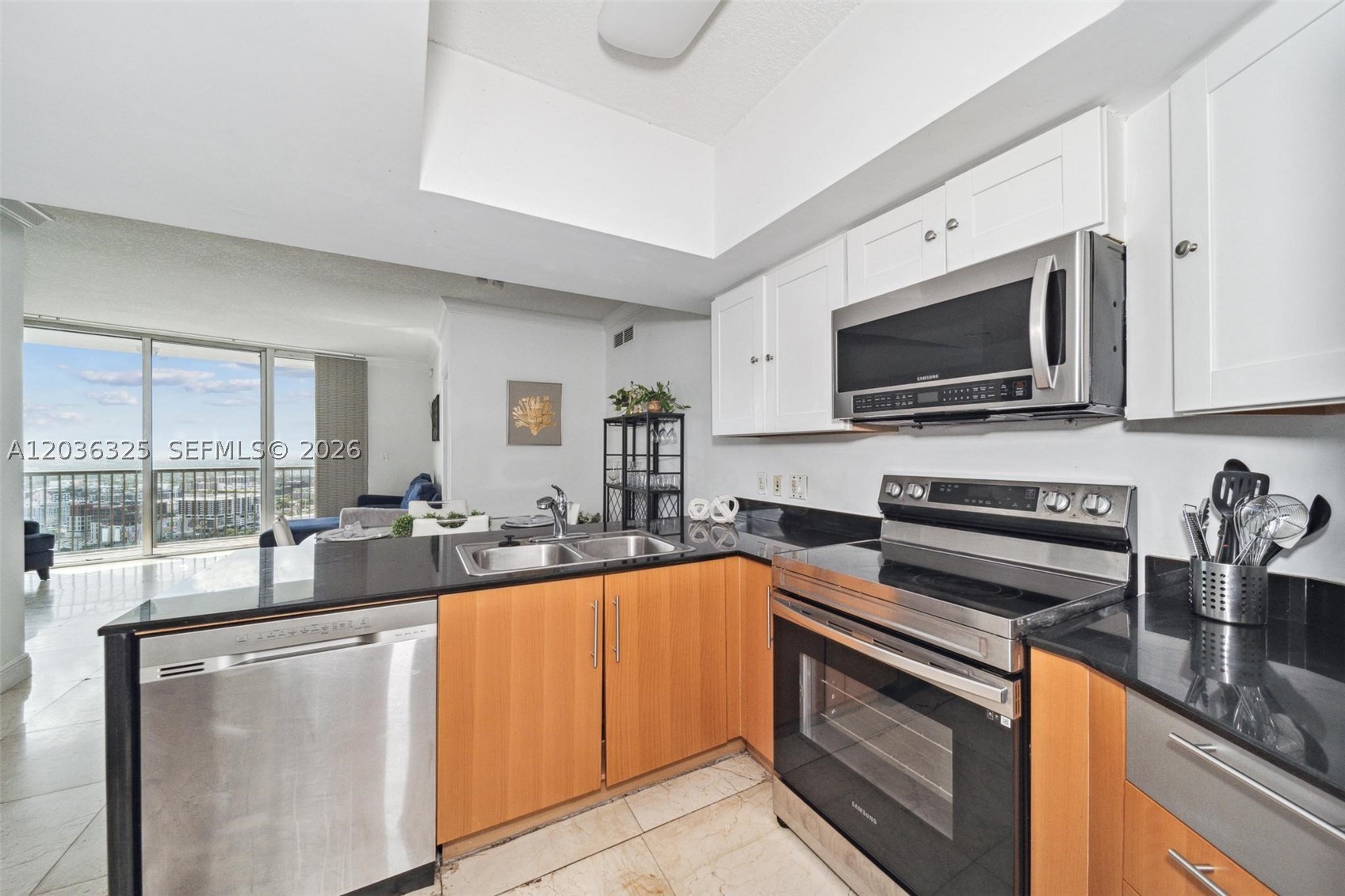 OPERA TOWER CONDO - Residential Lease