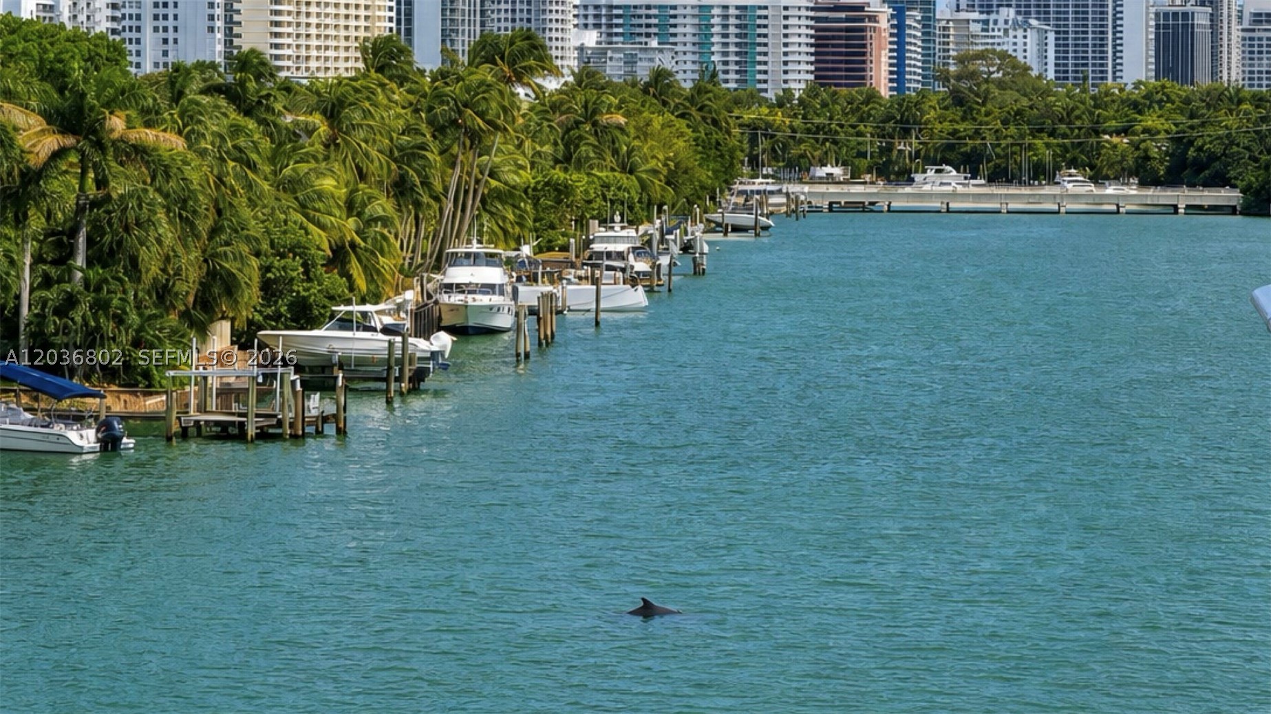 KING COLE CONDO - Residential Lease