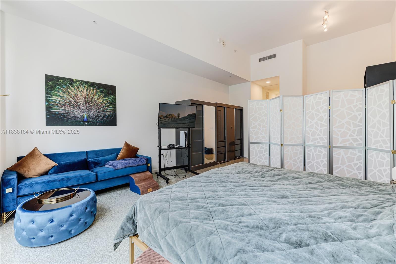 VIZCAYNE SOUTH CONDO - Residential