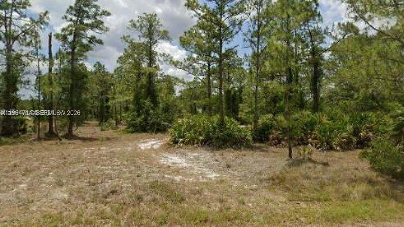 Excellent investment opportunity in Lehigh Acres! This 0.50-acre lot (21,780 sq ft) is zoned multifamily, allowing the development of 2 to 9 residential units. Located in a non-flood zone, offering added value and lower insurance considerations.

Ideal for developers and investors looking to build income-producing properties in a growing area. Spacious lot with great potential and flexibility for multifamily construction.

Great price and strong upside potential. Don’t miss this opportunity to build and maximize returns.