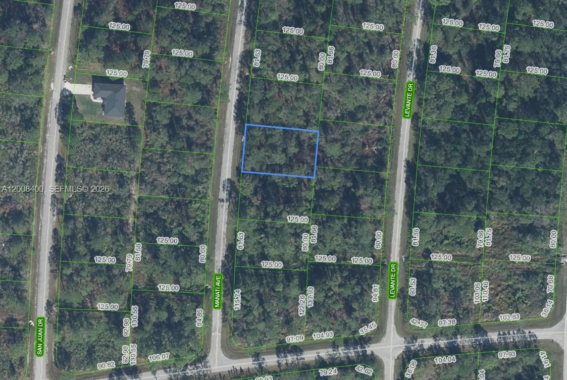 OWNER WILL FINANCE!!! BUILDER'S DREAM INVESTMENT OPPORTUNITY!! ADJACENT LOT IS ALSO AVAILABLE. BUY BOTH FOR $55,800. Has power, paved road and is 1 block from golf course. Sun N Lakes development is building 100 acre water and sewage facility 2 blocks away. Sun N Lakes community, a perfect place to build your dream home in which to raise your kids or retire. The Sun N Lakes community offers 2 18-Hole championship golf courses, restaurant, clubhouse, gym, playground, community pool, splash pad, community center, fitness center, pickle ball, and tennis. Sebring is centrally located 1.5 hours from Disney, 1.5 hours from Tampa and 1.45 hours from Ana Maria Island Beaches. Located close to Advent health and Sun N Lake Elementary. OWNER WILL FINANCE!!! 5K DOWN 493.05 A MONTH FOR 60 MONTHS AT 7% INTREST.