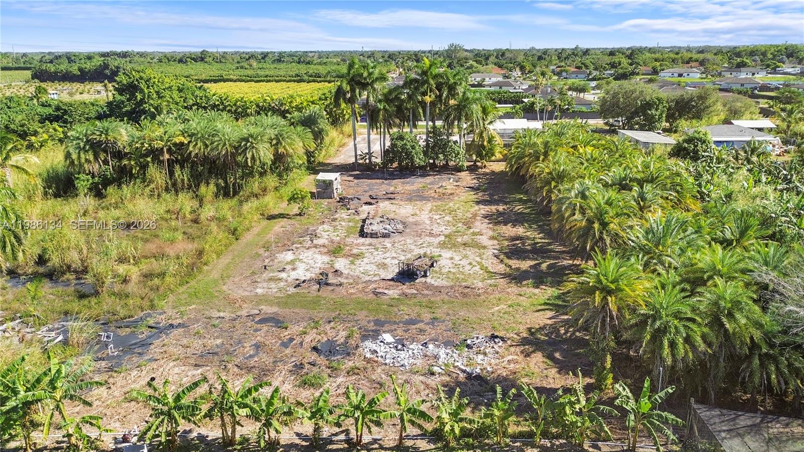 Homestead - Land