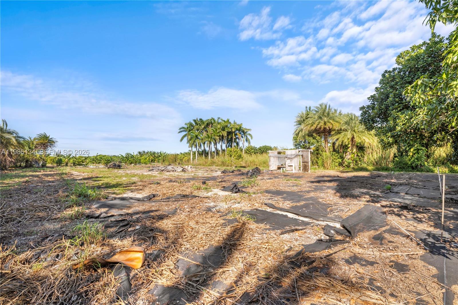 Homestead - Land