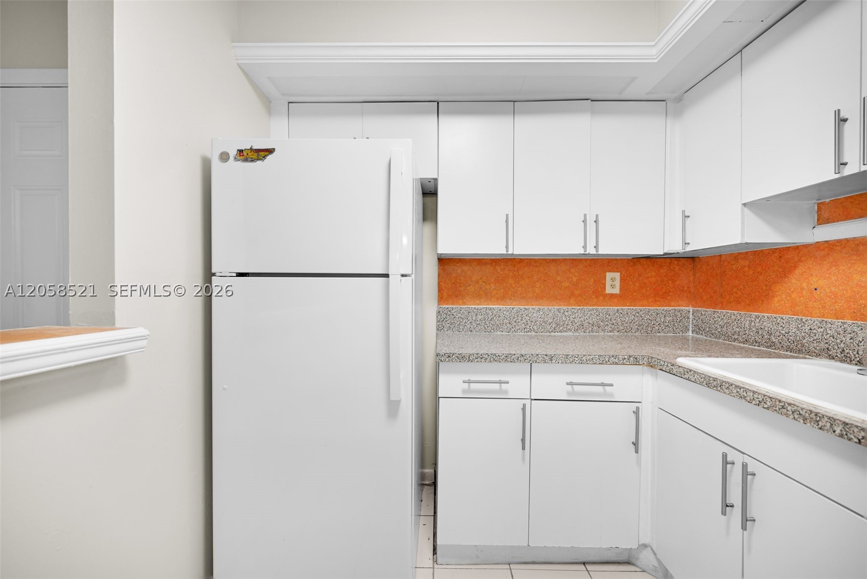 COUNTRYSIDE VILLAGE CONDO - Residential