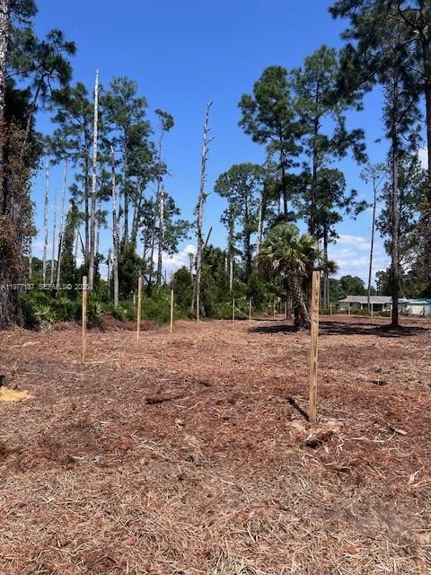 ATTENTION LAND BUYERS!  Whether you are looking to invest or build your future home, this vacant residential half acre lot is ready for you very low taxes located on a paved road and fast growing city.