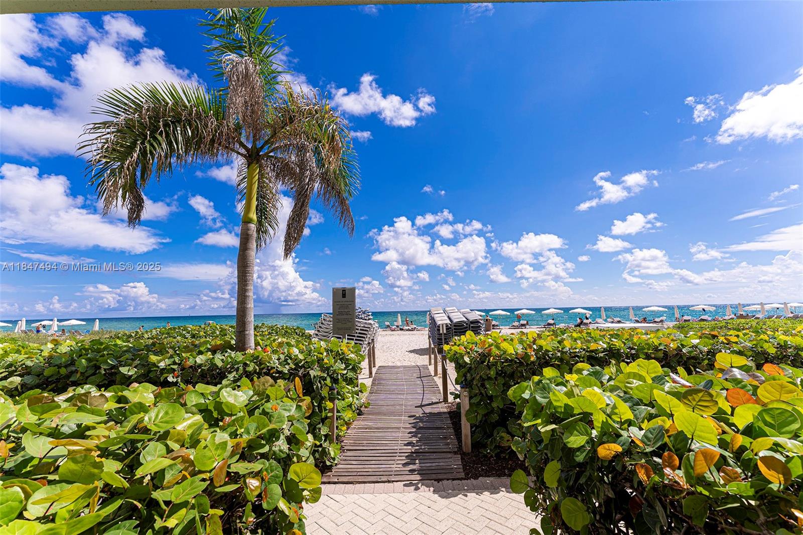 TDR TOWER II CONDO - Residential Lease
