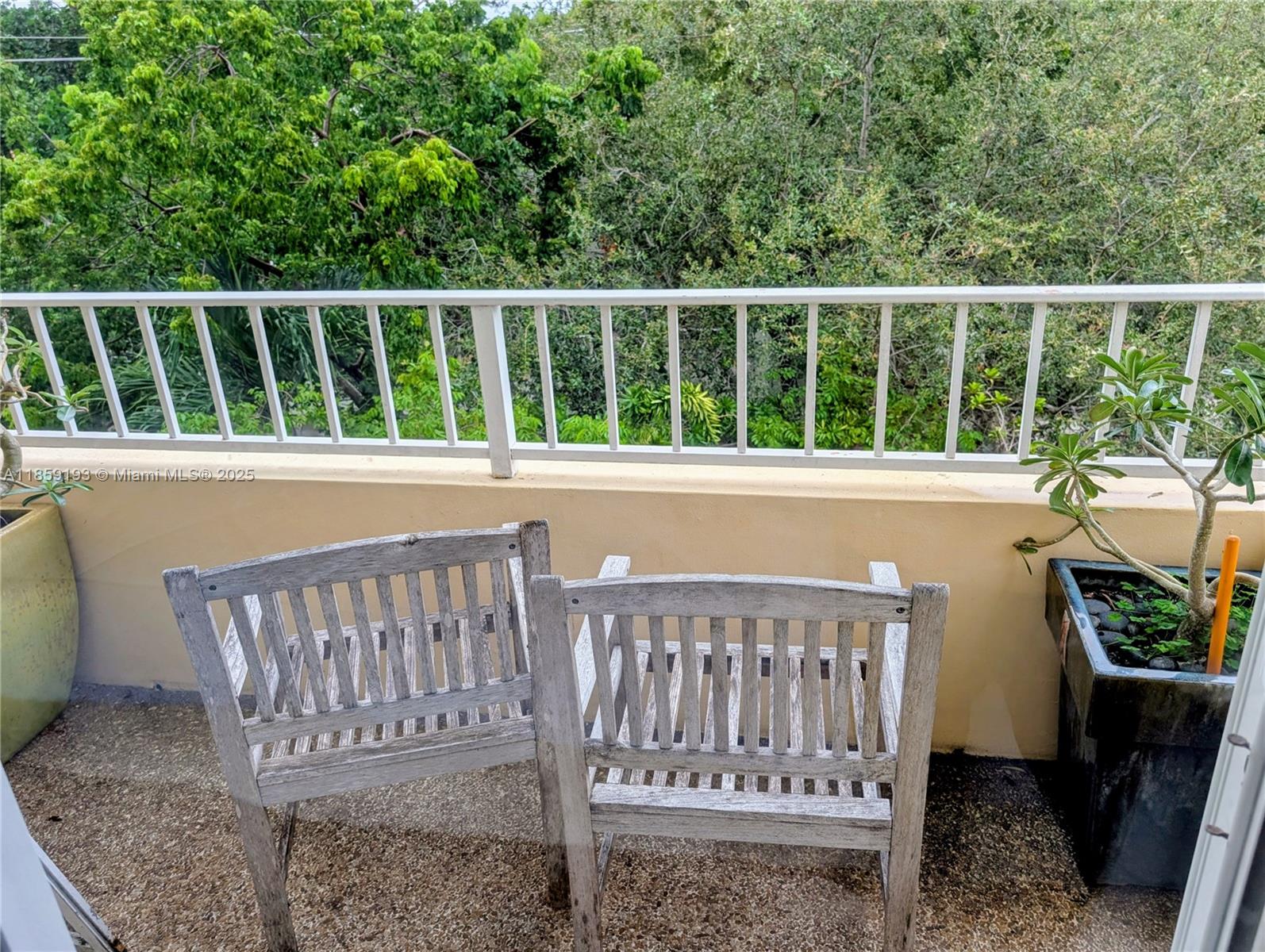 VIRGINIA OAKS CONDO - Residential