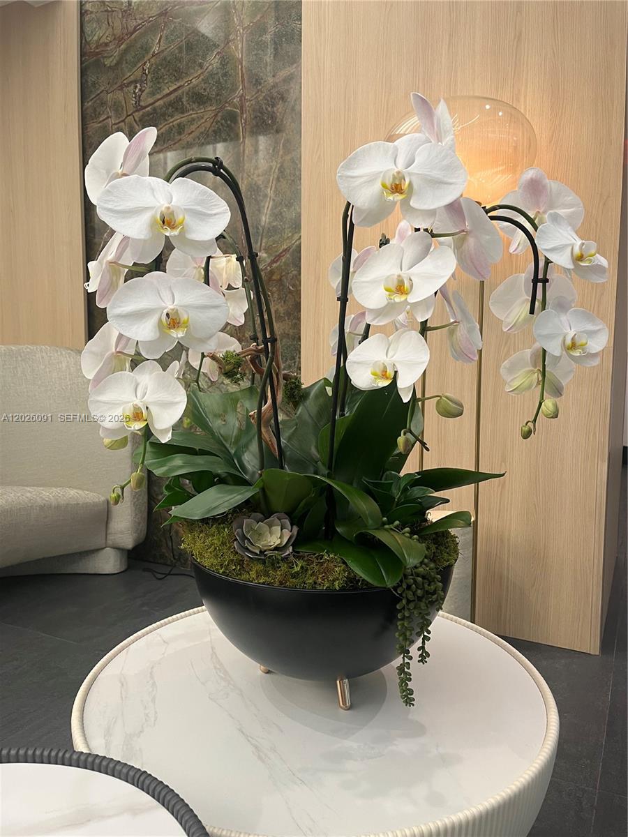 IVY CONDO - Residential Lease