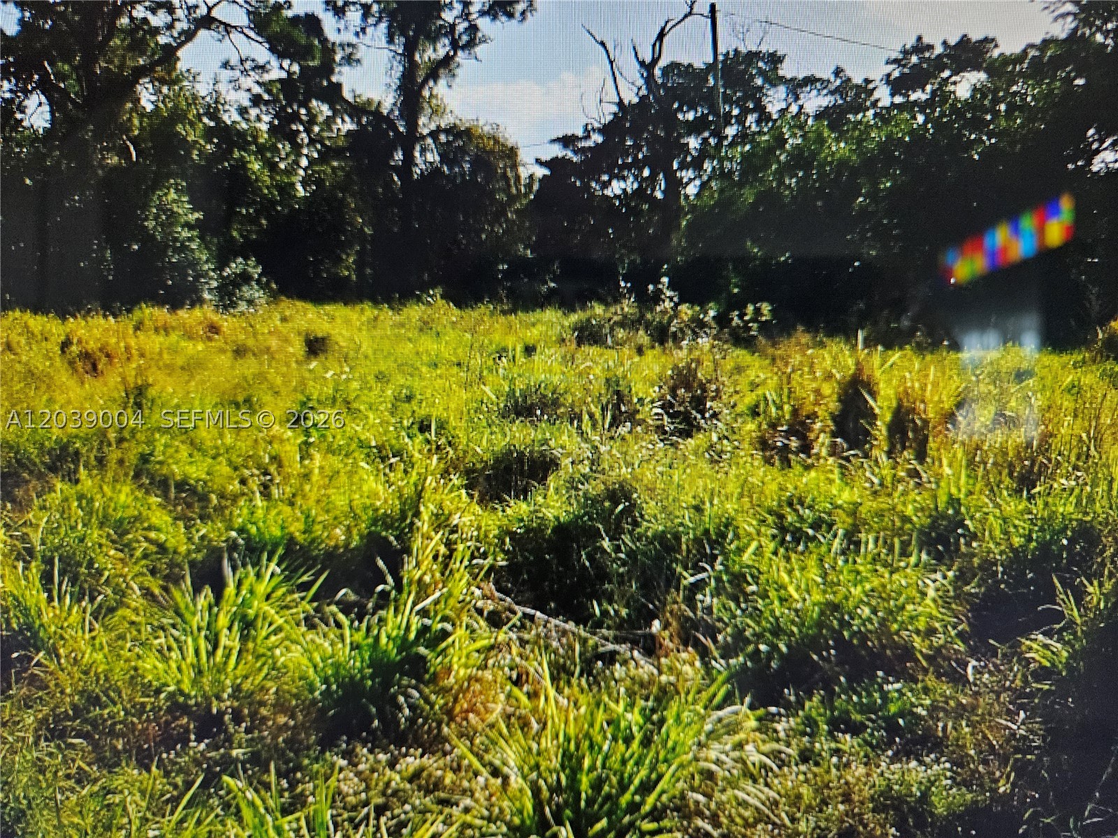 PARADISE PARK - Land