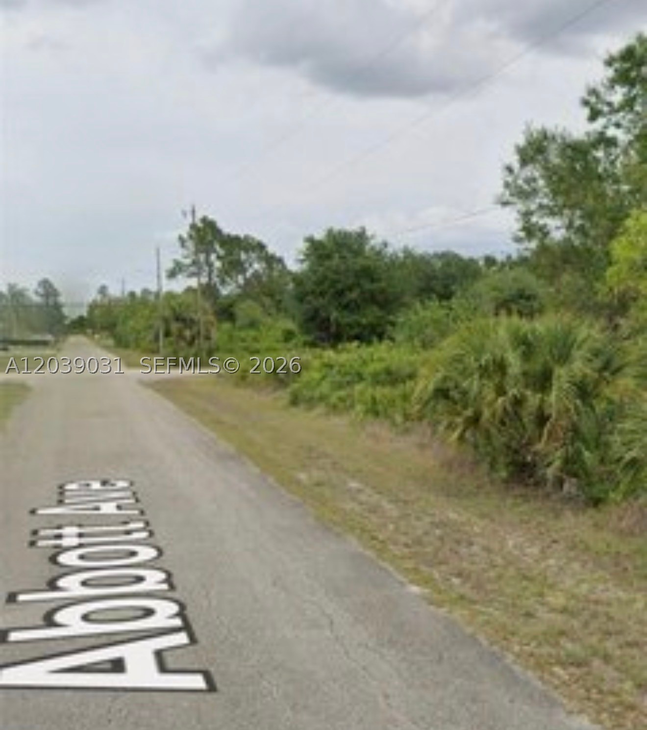 Beautiful vacant lot ready for your new home. This lot is located in Lehigh acres, Fl. This property offers plenty of ample room to build a custom home, investment property, or future development project. Surrounded by ongoing development and increasing demand in the area, this parcel presents strong potential for future appreciation and long term value. A rare chance to secure land in a growing market and bring your vision to life. Conveniently located within reach of beautiful Gulf coast destinations of Fort Myers and Naples, future owners can enjoy easy access to renowned beaches, boating, fishing, waterfront dining, shopping, entertainment. This Lot provides flexibility of uses while offering privacy and room for future growth.