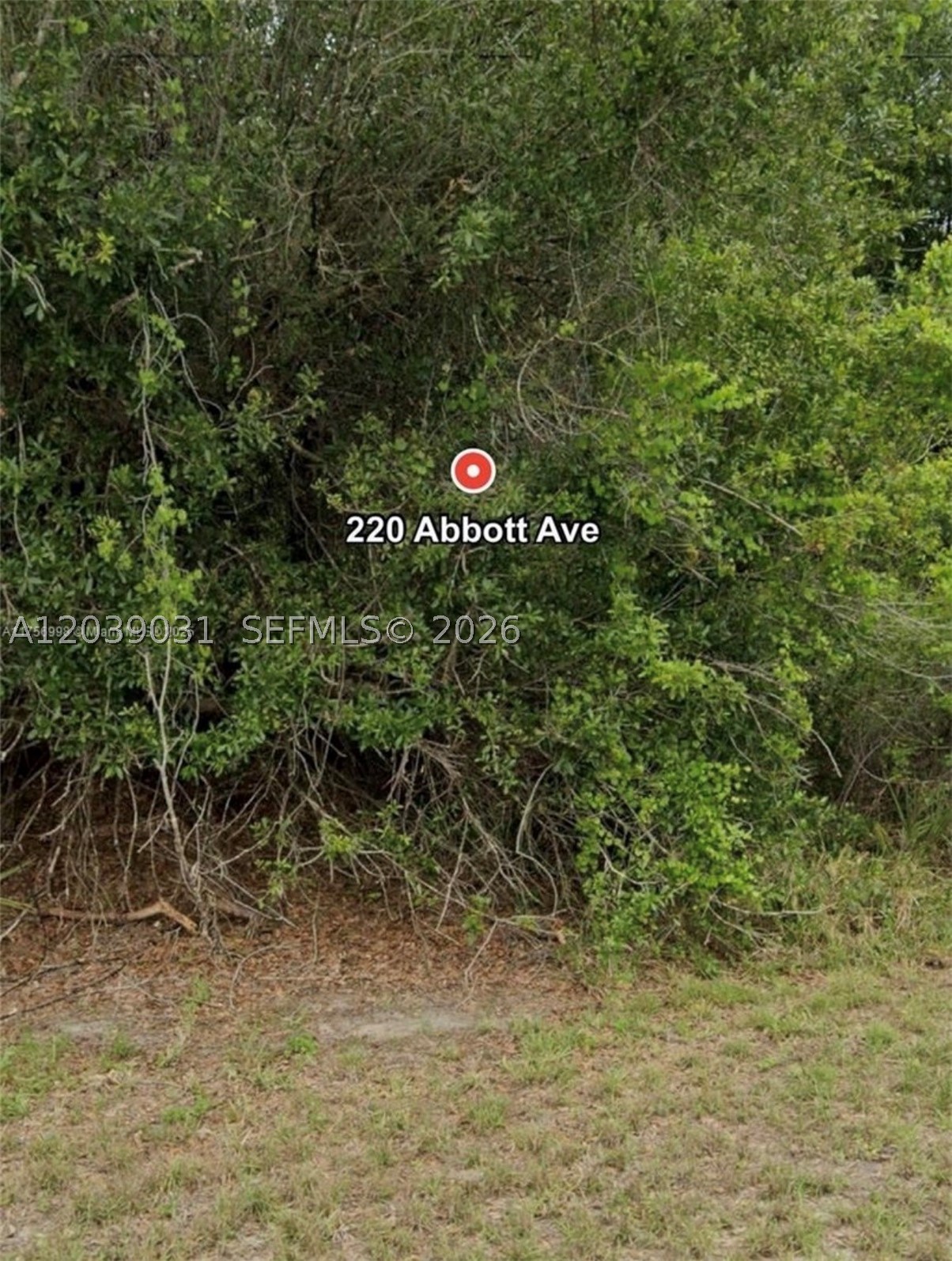 LEHIGH ACRES - Land